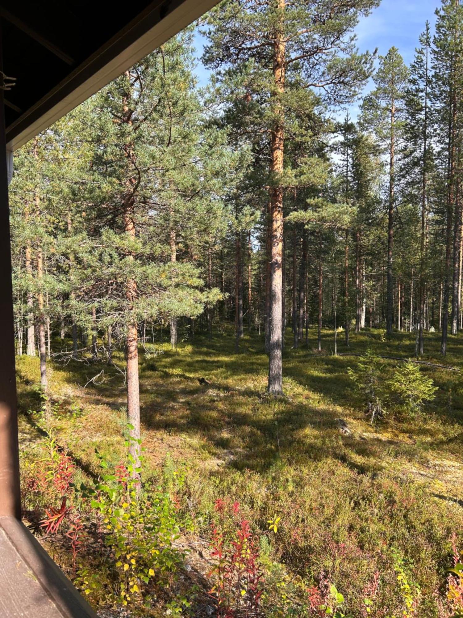 Unelmasaeleikkoe 2 Kittilä エクステリア 写真